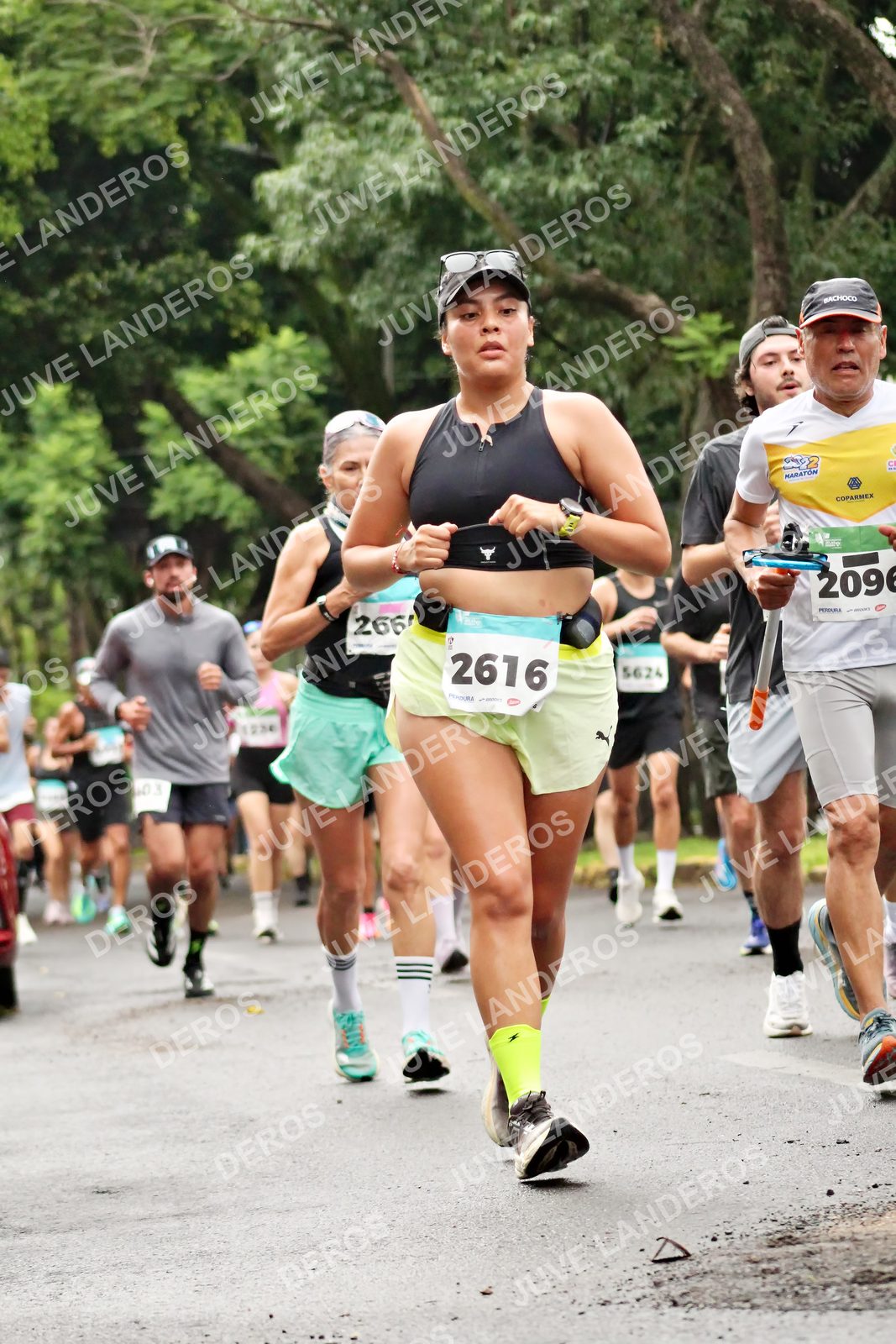 Foto del MEDIO MARATÓN ATLAS en Av. Patria, frente al Parque El Polvorín, Zapopan a las 08:22 · dorsal 266, 2616, 2096, 1234