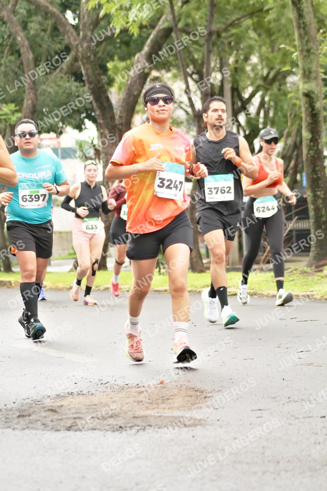 Foto del MEDIO MARATÓN ATLAS en Av. Patria, frente al Parque El Polvorín, Zapopan a las 08:39 · dorsal 3247, 3762, 6397, 635