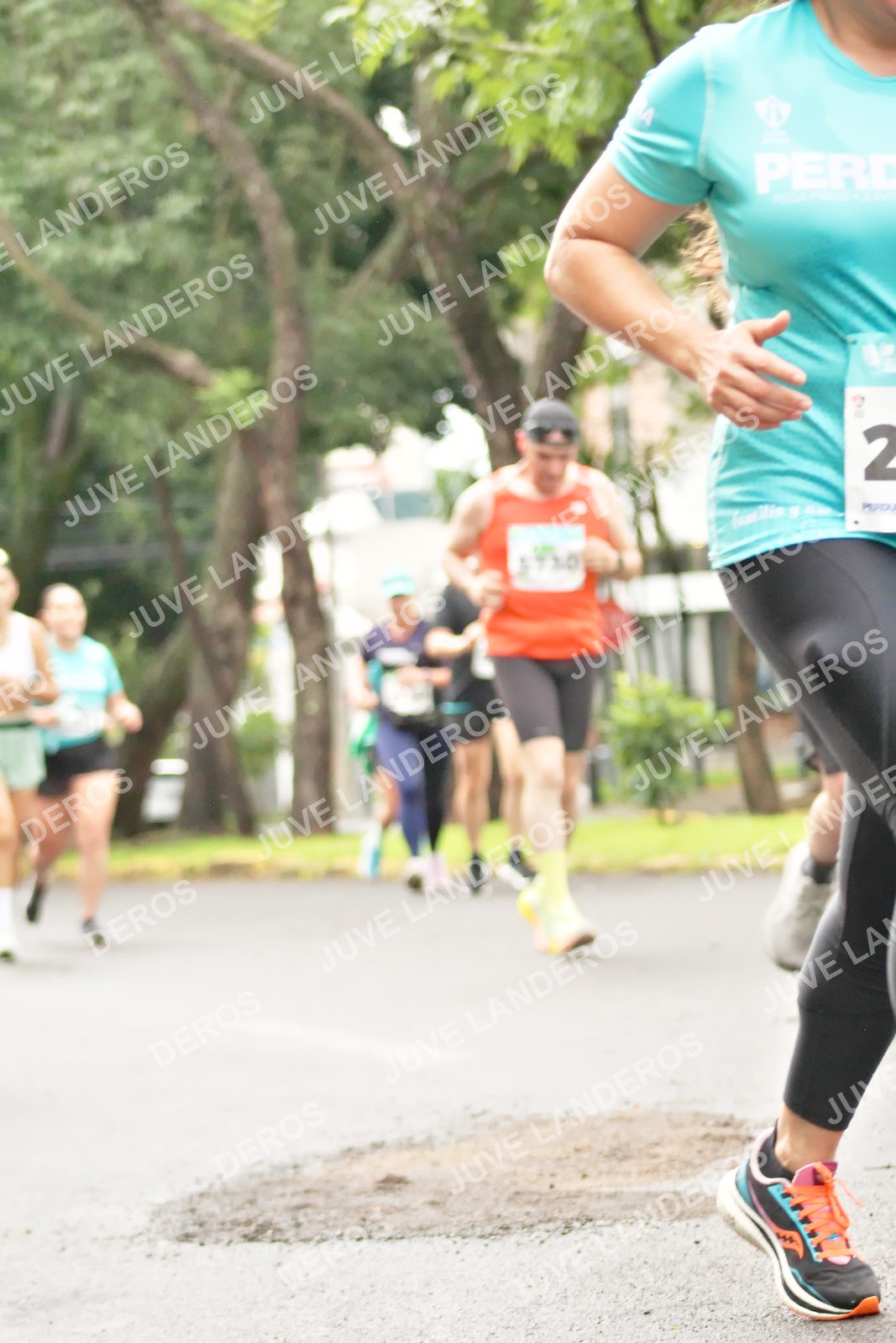 Foto del MEDIO MARATÓN ATLAS en Av. Patria, frente al Parque El Polvorín, Zapopan a las 08:45 · dorsal 2