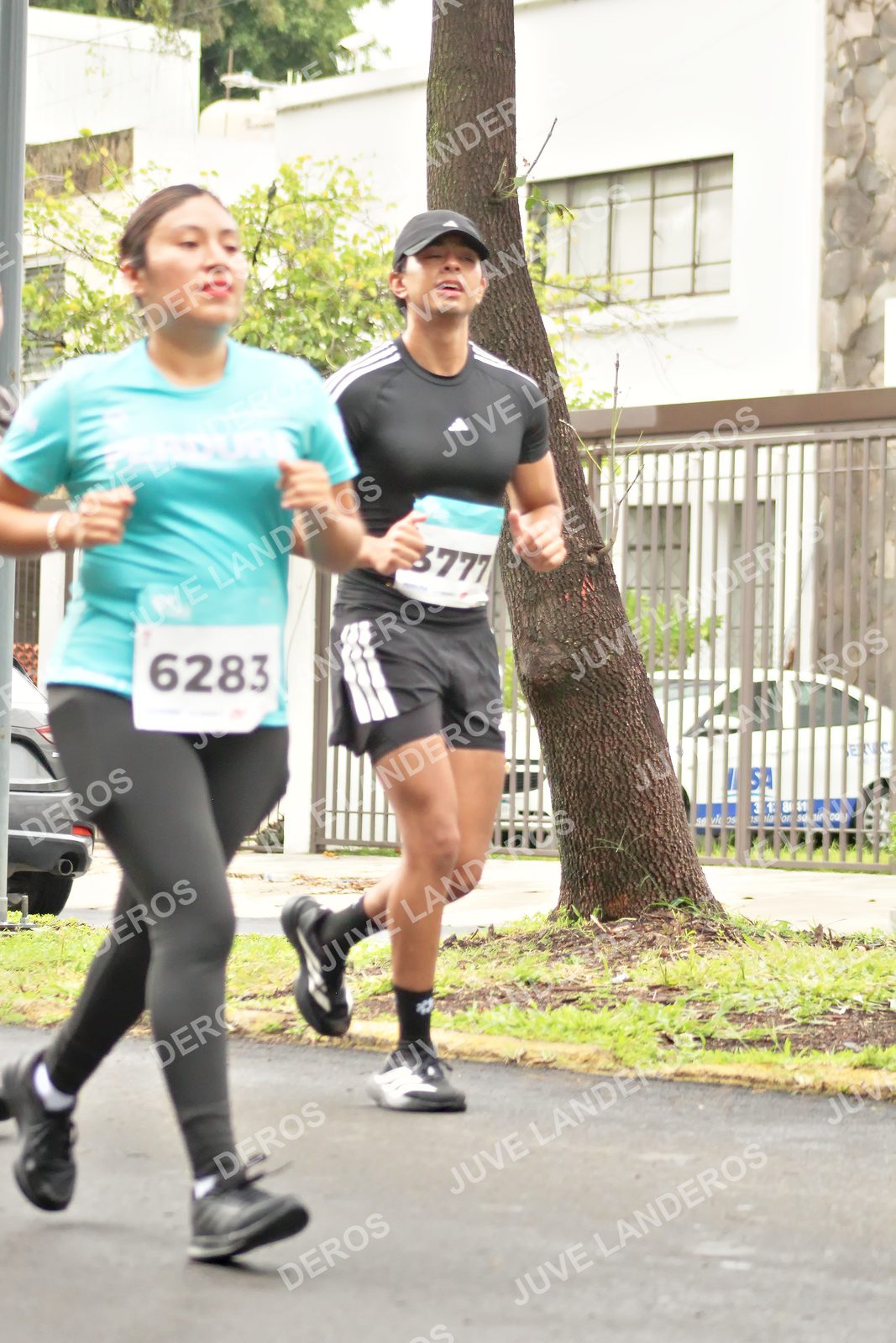 Foto del MEDIO MARATÓN ATLAS en Av. Patria, frente al Parque El Polvorín, Zapopan a las 08:48 · dorsal 6283