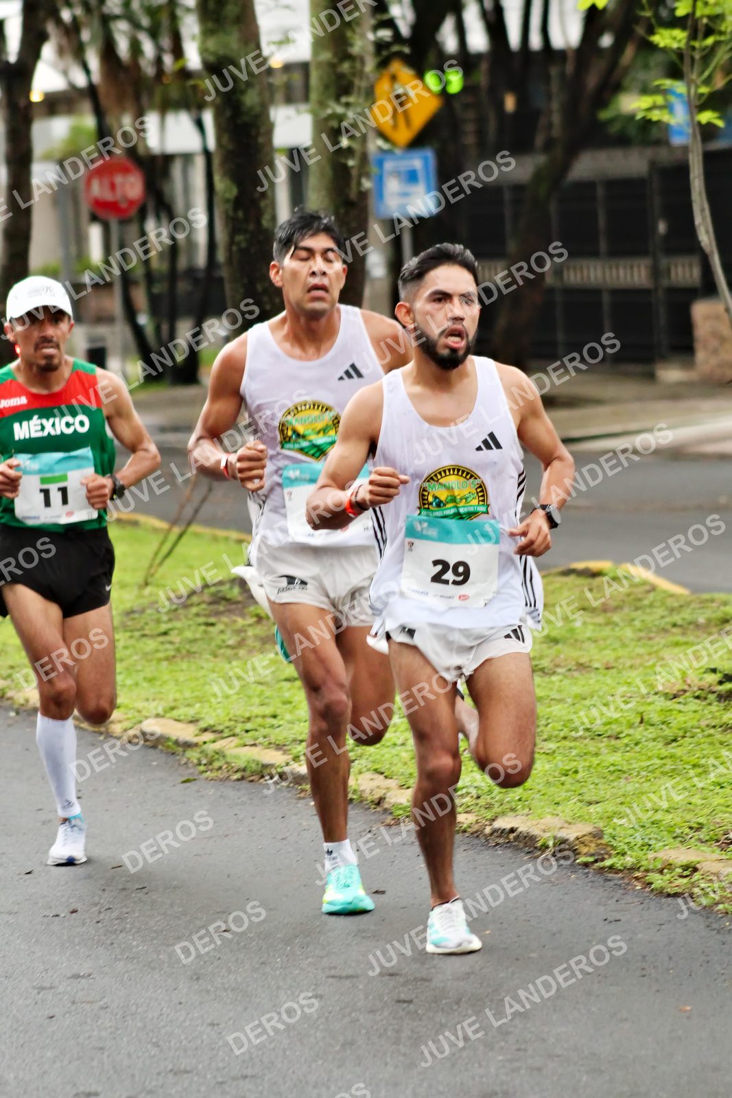 Foto del MEDIO MARATÓN ATLAS en Av. Patria, frente al Parque El Polvorín, Zapopan a las 07:53 · dorsal 29, 11