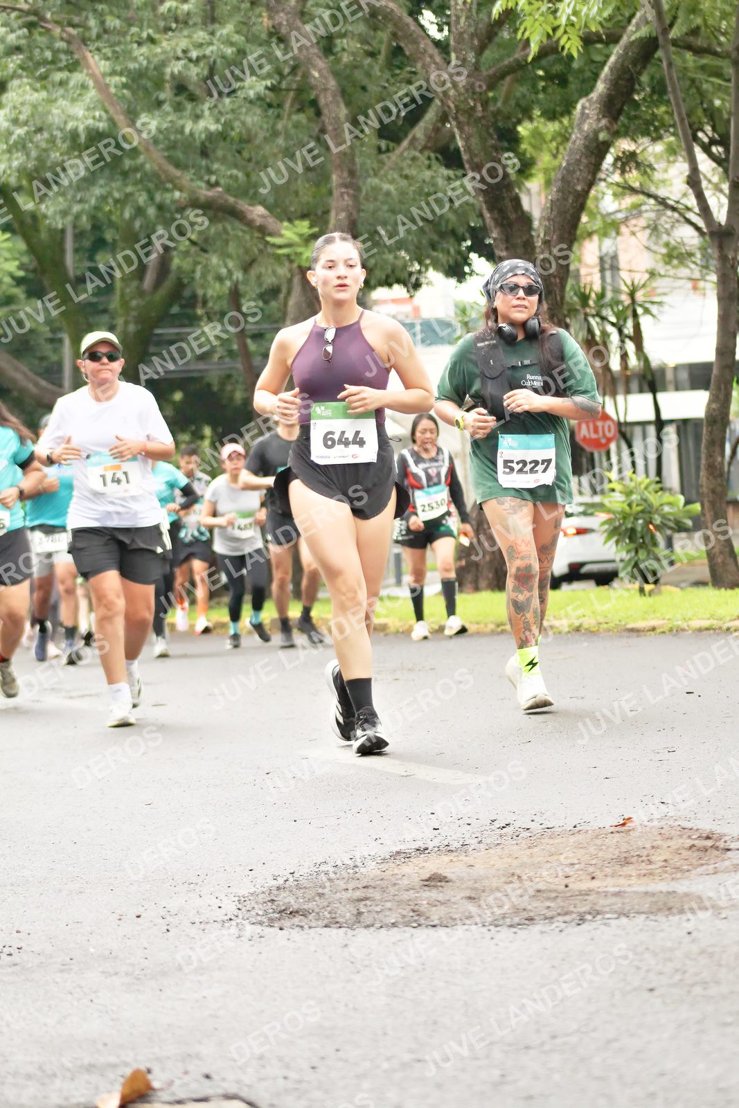Foto del MEDIO MARATÓN ATLAS en Av. Patria, frente al Parque El Polvorín, Zapopan a las 08:44 · dorsal 644, 5227, 141, 2530