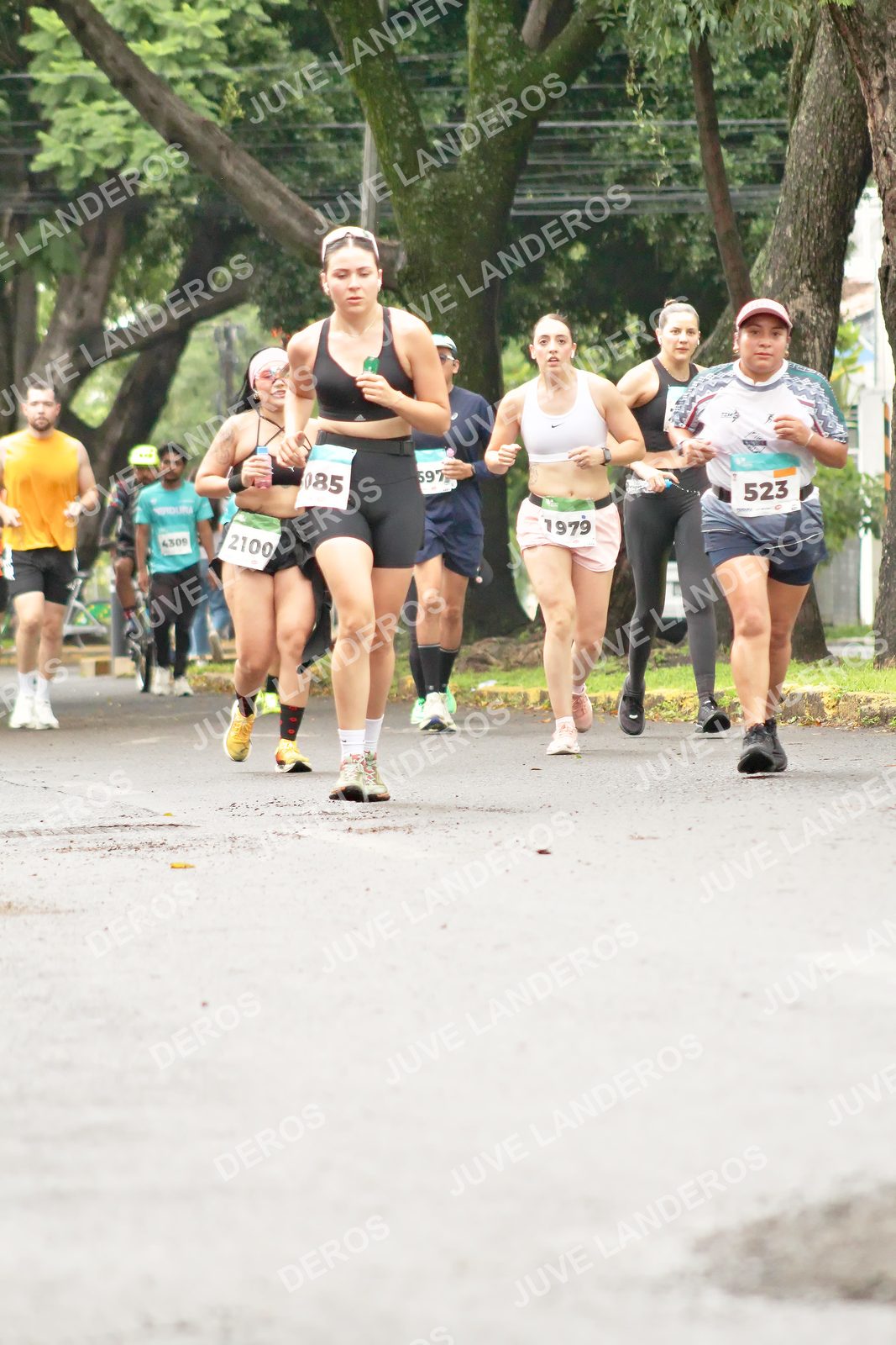 Foto del MEDIO MARATÓN ATLAS en Av. Patria, frente al Parque El Polvorín, Zapopan a las 08:47 · dorsal 523, 2100, 85, 1979