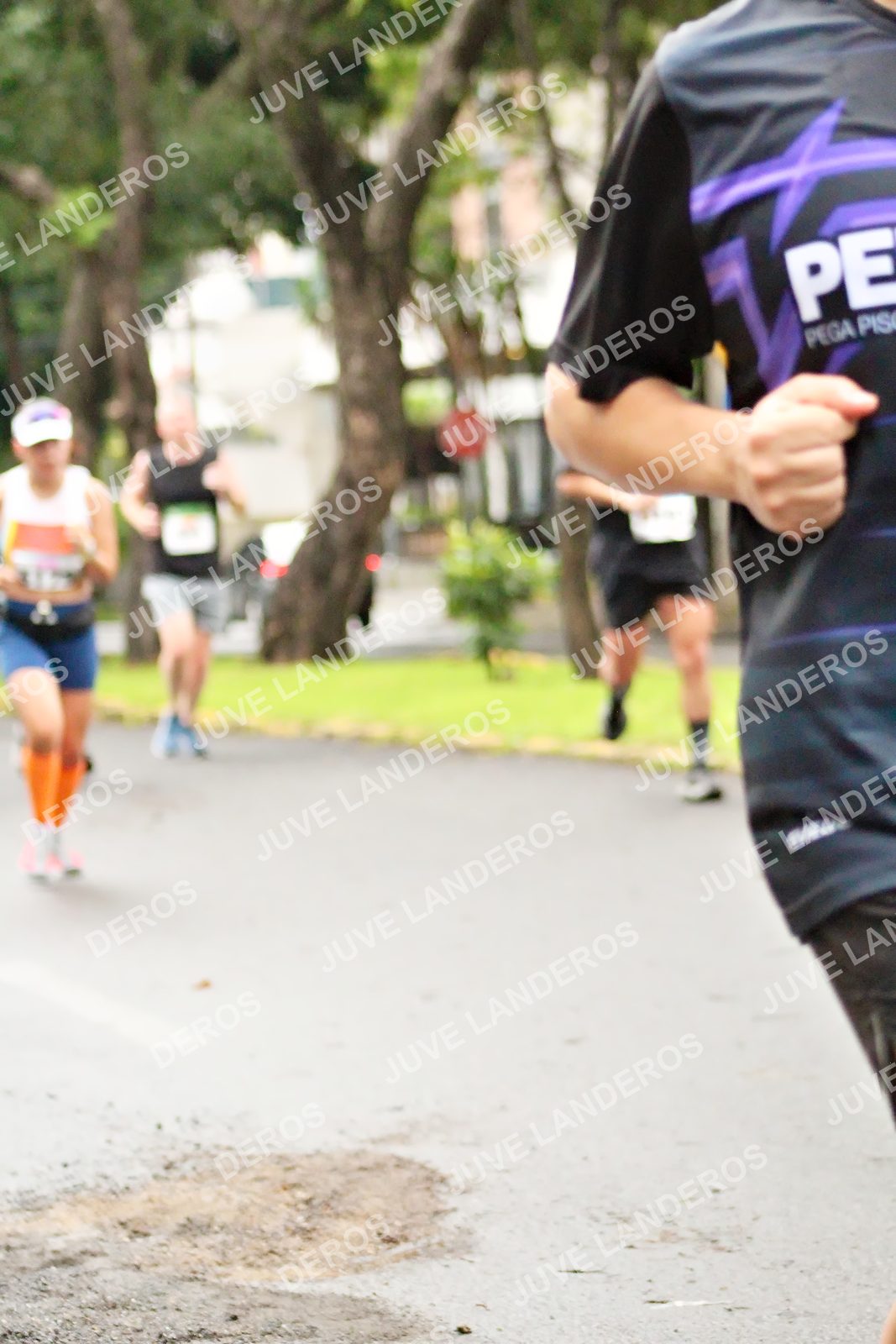 Foto del MEDIO MARATÓN ATLAS en Av. Patria, frente al Parque El Polvorín, Zapopan a las 08:18