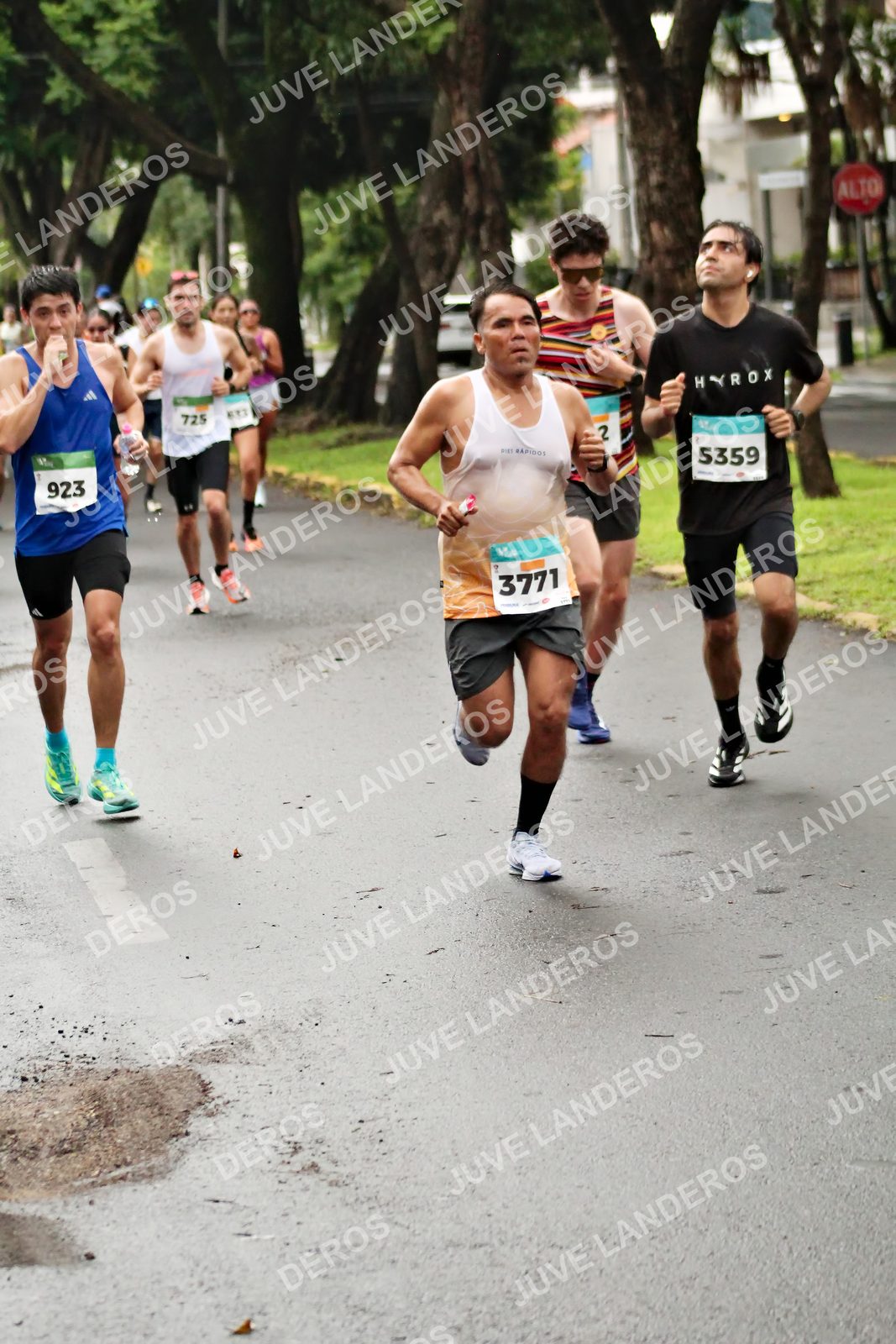 Foto del MEDIO MARATÓN ATLAS en Av. Patria, frente al Parque El Polvorín, Zapopan a las 08:09 · dorsal 5359, 923, 3771, 725