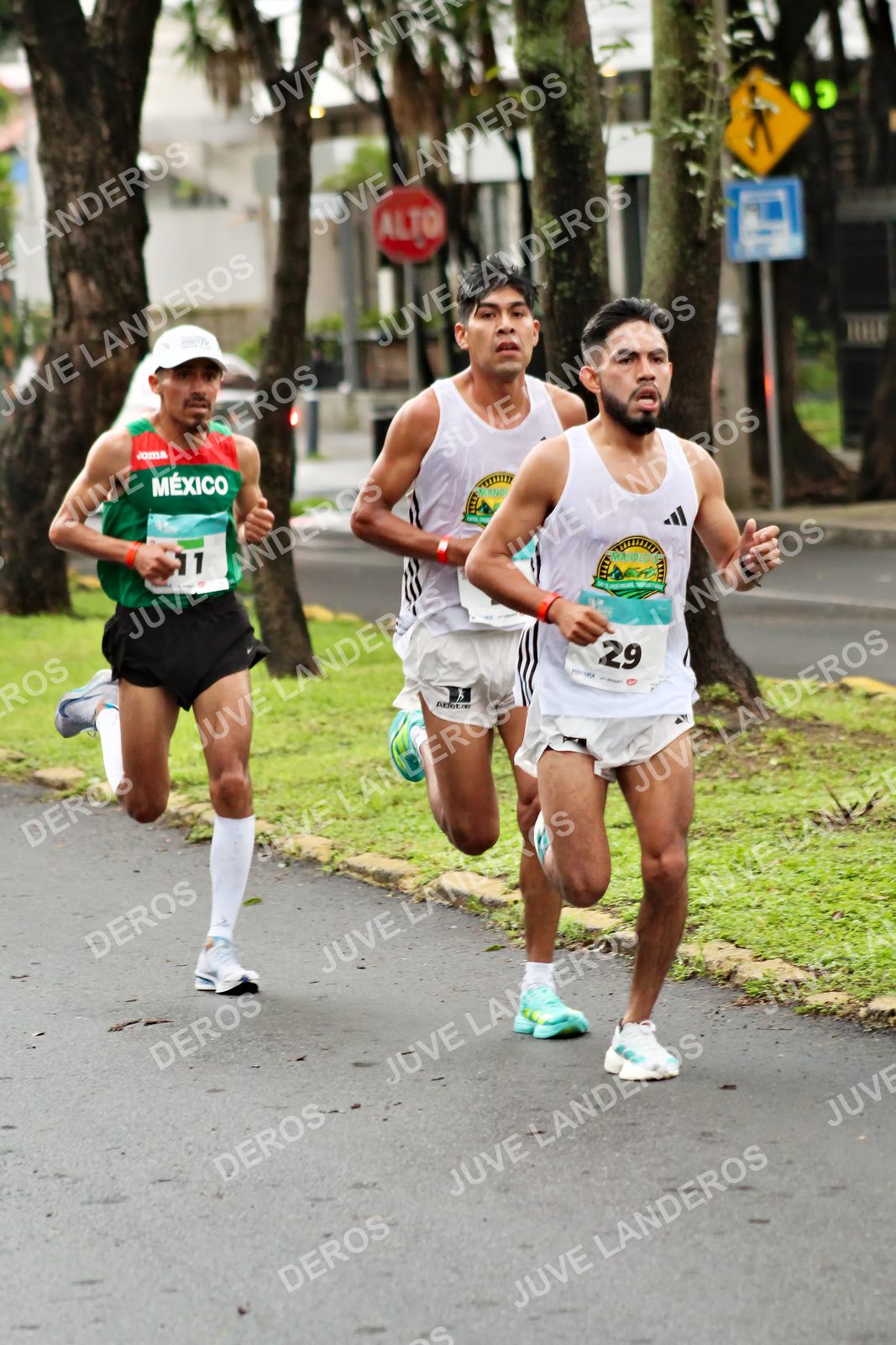 Foto del MEDIO MARATÓN ATLAS en Av. Patria, frente al Parque El Polvorín, Zapopan a las 07:53 · dorsal 29, 11