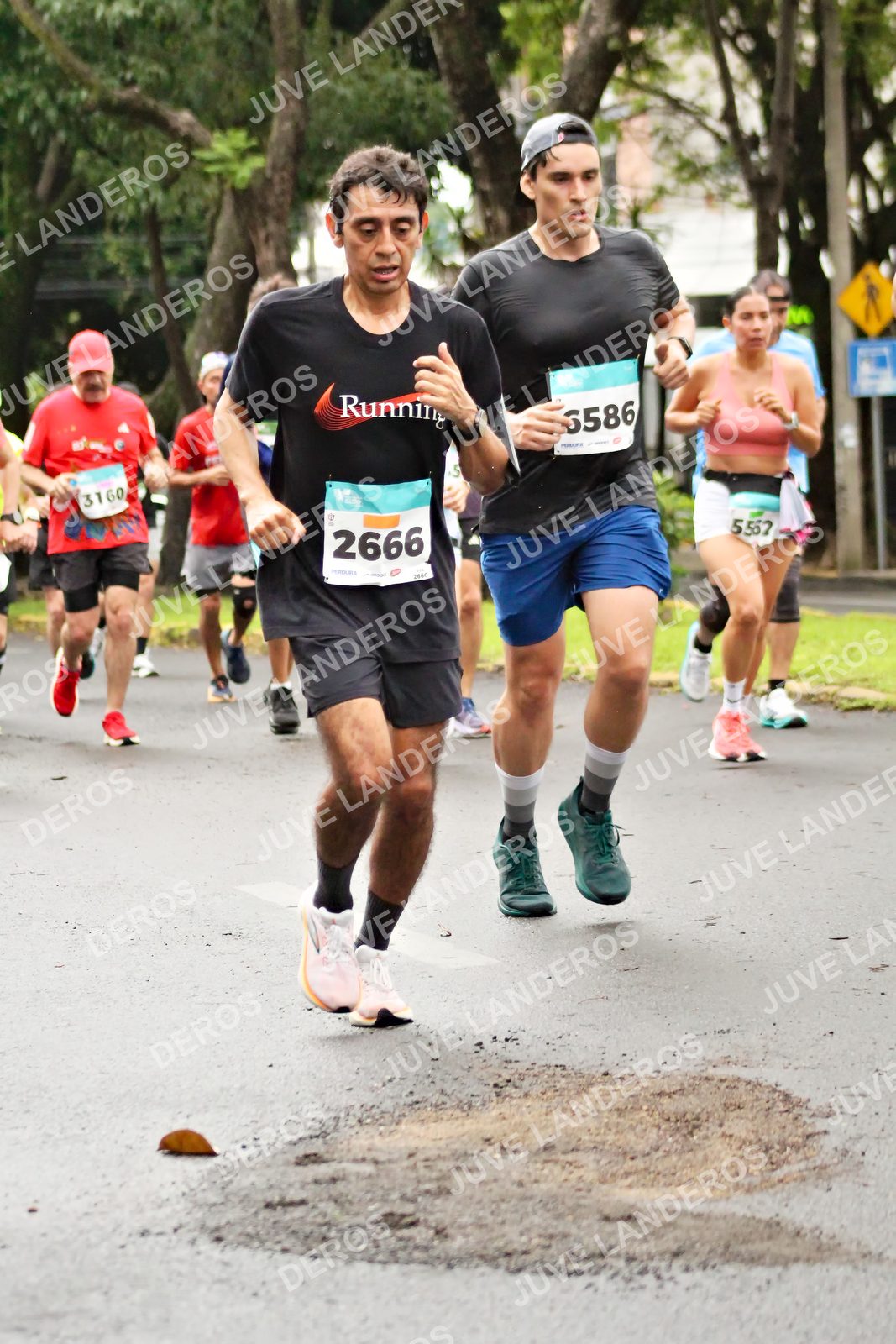 Foto del MEDIO MARATÓN ATLAS en Av. Patria, frente al Parque El Polvorín, Zapopan a las 08:21 · dorsal 2666, 3160