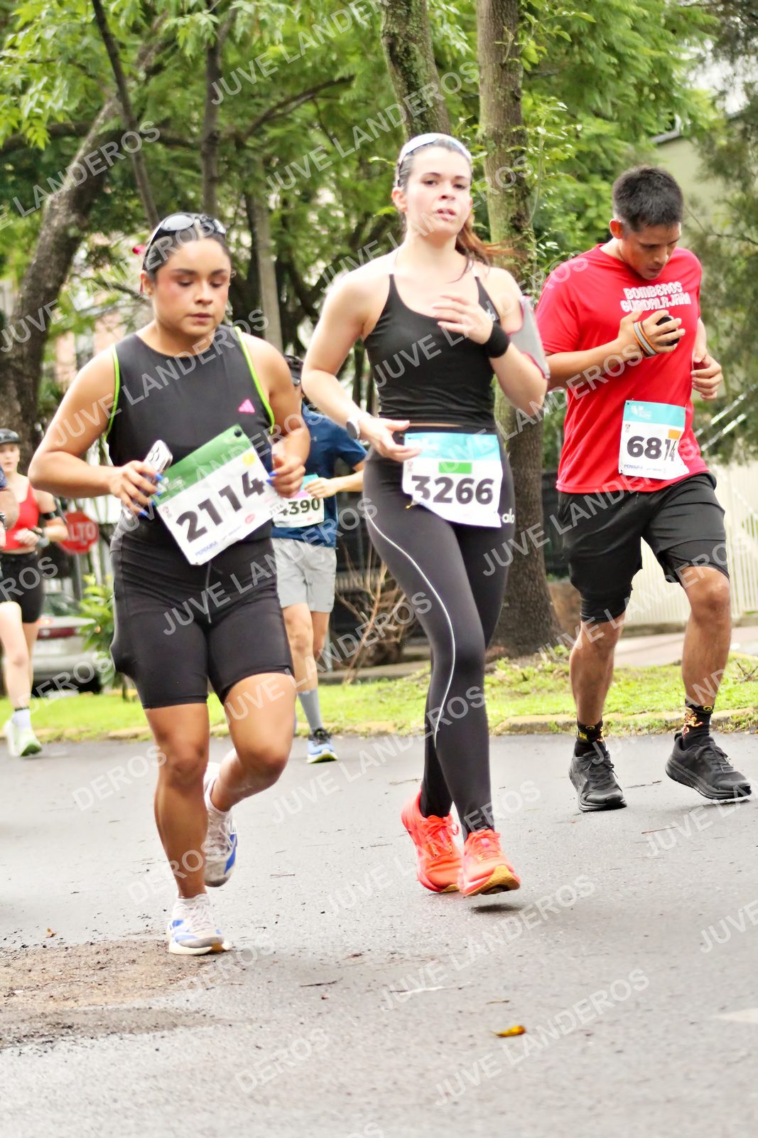 Foto del MEDIO MARATÓN ATLAS en Av. Patria, frente al Parque El Polvorín, Zapopan a las 08:33 · dorsal 3266, 2114, 390