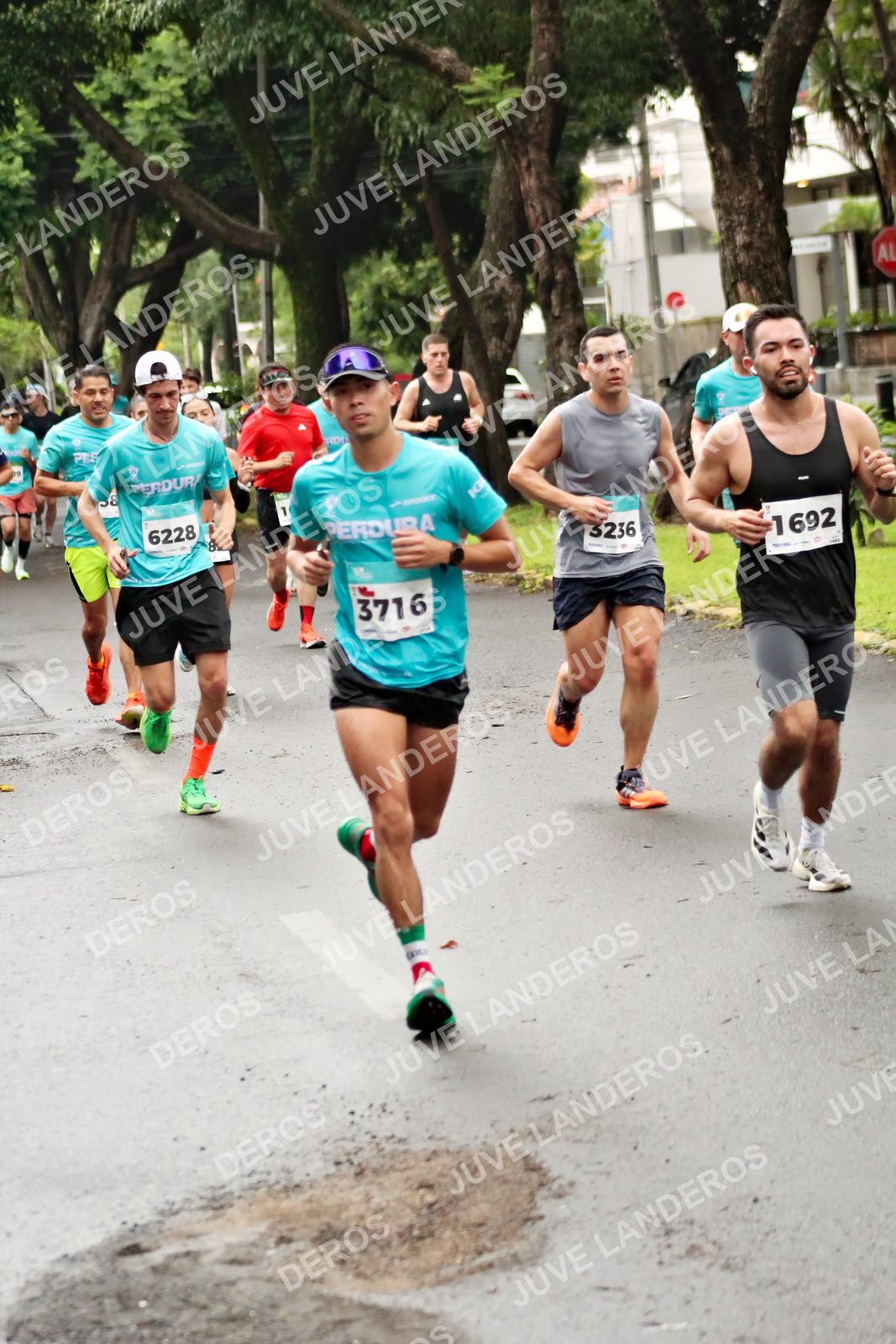 Foto del MEDIO MARATÓN ATLAS en Av. Patria, frente al Parque El Polvorín, Zapopan a las 08:15 · dorsal 3716, 6228, 3236, 1692