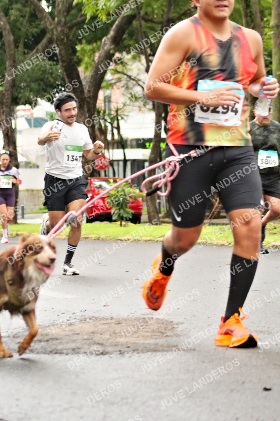 Foto del MEDIO MARATÓN ATLAS en Av. Patria, frente al Parque El Polvorín, Zapopan a las 08:25 · dorsal 3809, 1347, 6294, 739