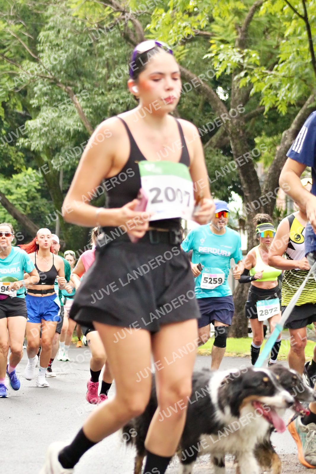 Foto del MEDIO MARATÓN ATLAS en Av. Patria, frente al Parque El Polvorín, Zapopan a las 08:31 · dorsal 5259, 2872, 2007, 94