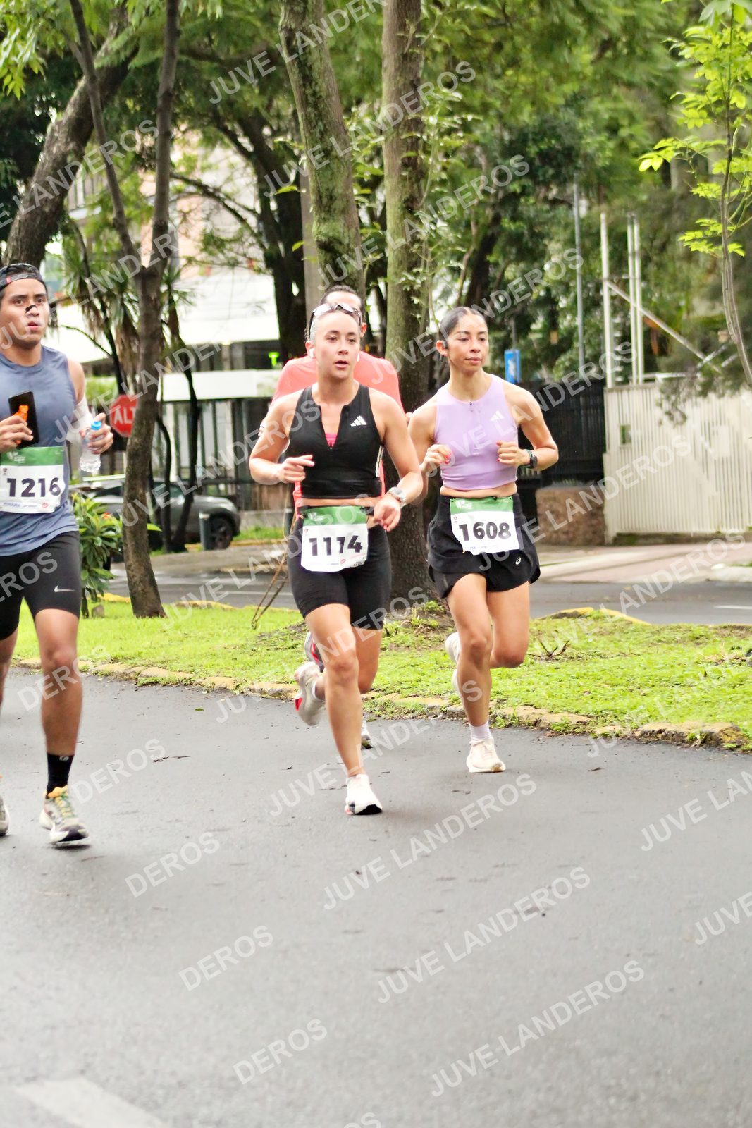 Foto del MEDIO MARATÓN ATLAS en Av. Patria, frente al Parque El Polvorín, Zapopan a las 08:14 · dorsal 1216, 1608, 1114