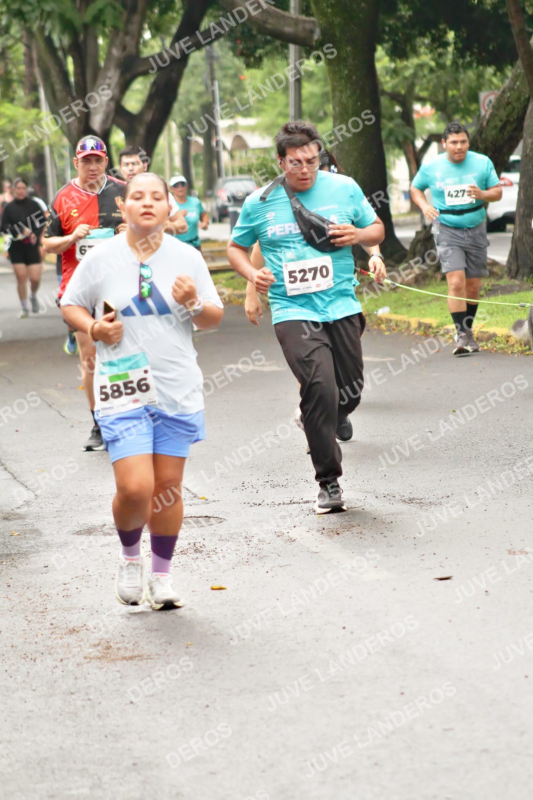 Foto del MEDIO MARATÓN ATLAS en Av. Patria, frente al Parque El Polvorín, Zapopan a las 08:49 · dorsal 5270, 5856, 427