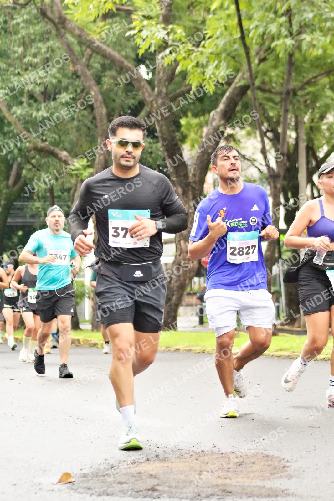 Foto del MEDIO MARATÓN ATLAS en Av. Patria, frente al Parque El Polvorín, Zapopan a las 08:33 · dorsal 2827, 37, 18