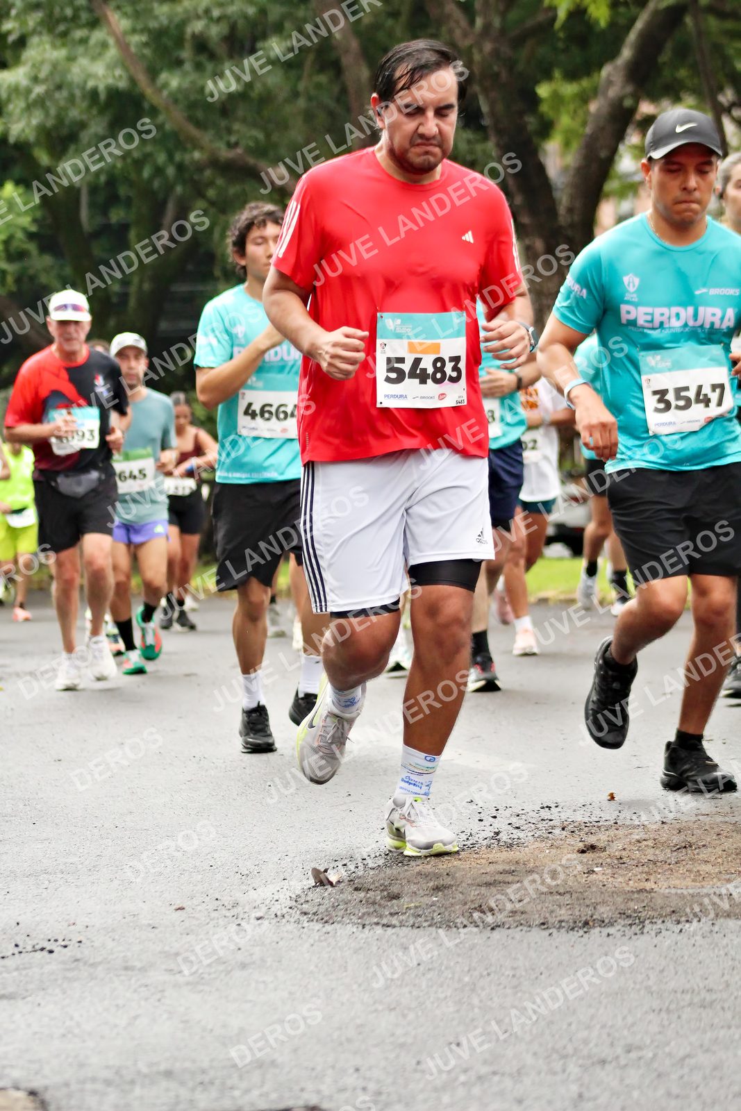 Foto del MEDIO MARATÓN ATLAS en Av. Patria, frente al Parque El Polvorín, Zapopan a las 08:30 · dorsal 5483, 3547, 4664, 8
