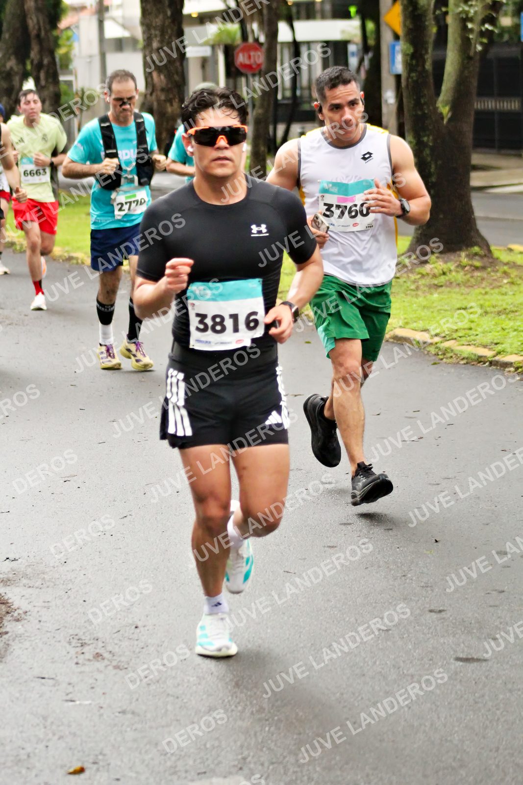 Foto del MEDIO MARATÓN ATLAS en Av. Patria, frente al Parque El Polvorín, Zapopan a las 08:14 · dorsal 3816, 6663, 2770, 3760