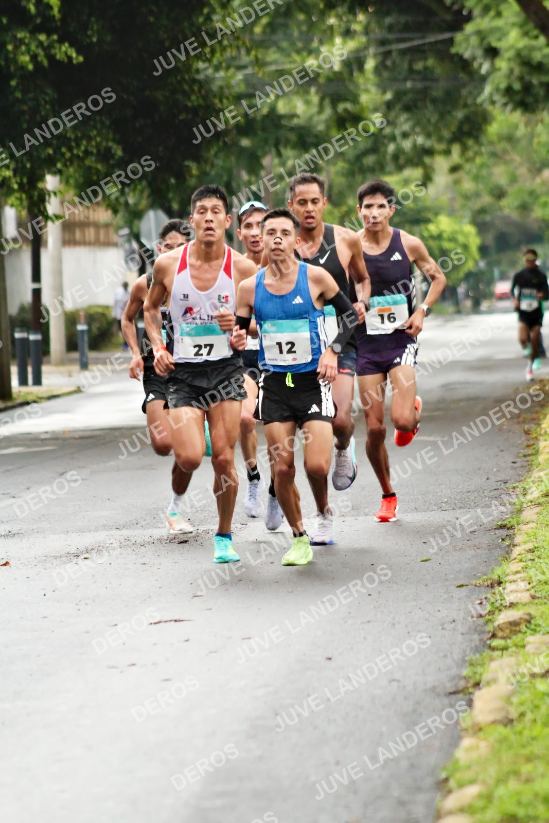 Foto del MEDIO MARATÓN ATLAS en Av. Patria, frente al Parque El Polvorín, Zapopan a las 07:51 · dorsal 27, 12, 16