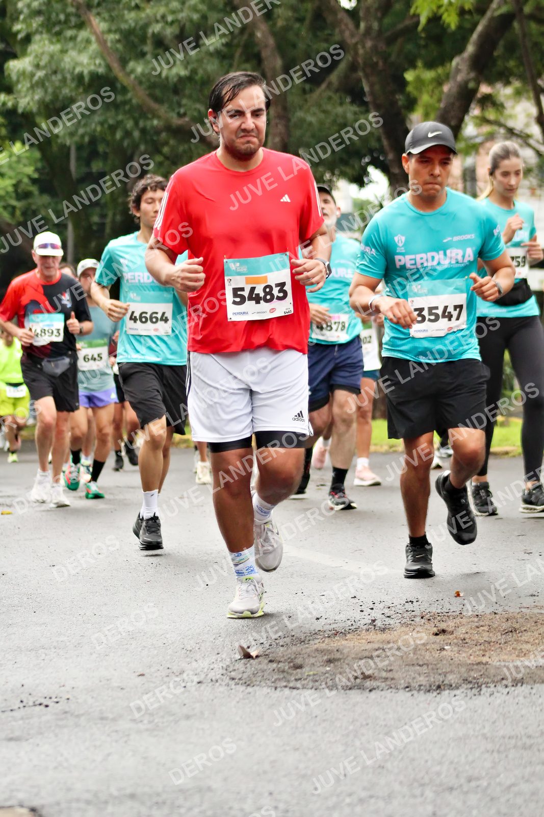 Foto del MEDIO MARATÓN ATLAS en Av. Patria, frente al Parque El Polvorín, Zapopan a las 08:30 · dorsal 5483, 3547, 4664, 645
