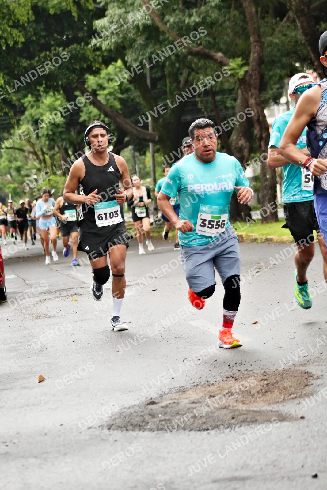 Foto del MEDIO MARATÓN ATLAS en Av. Patria, frente al Parque El Polvorín, Zapopan a las 08:16 · dorsal 3556, 6103, 5, 756