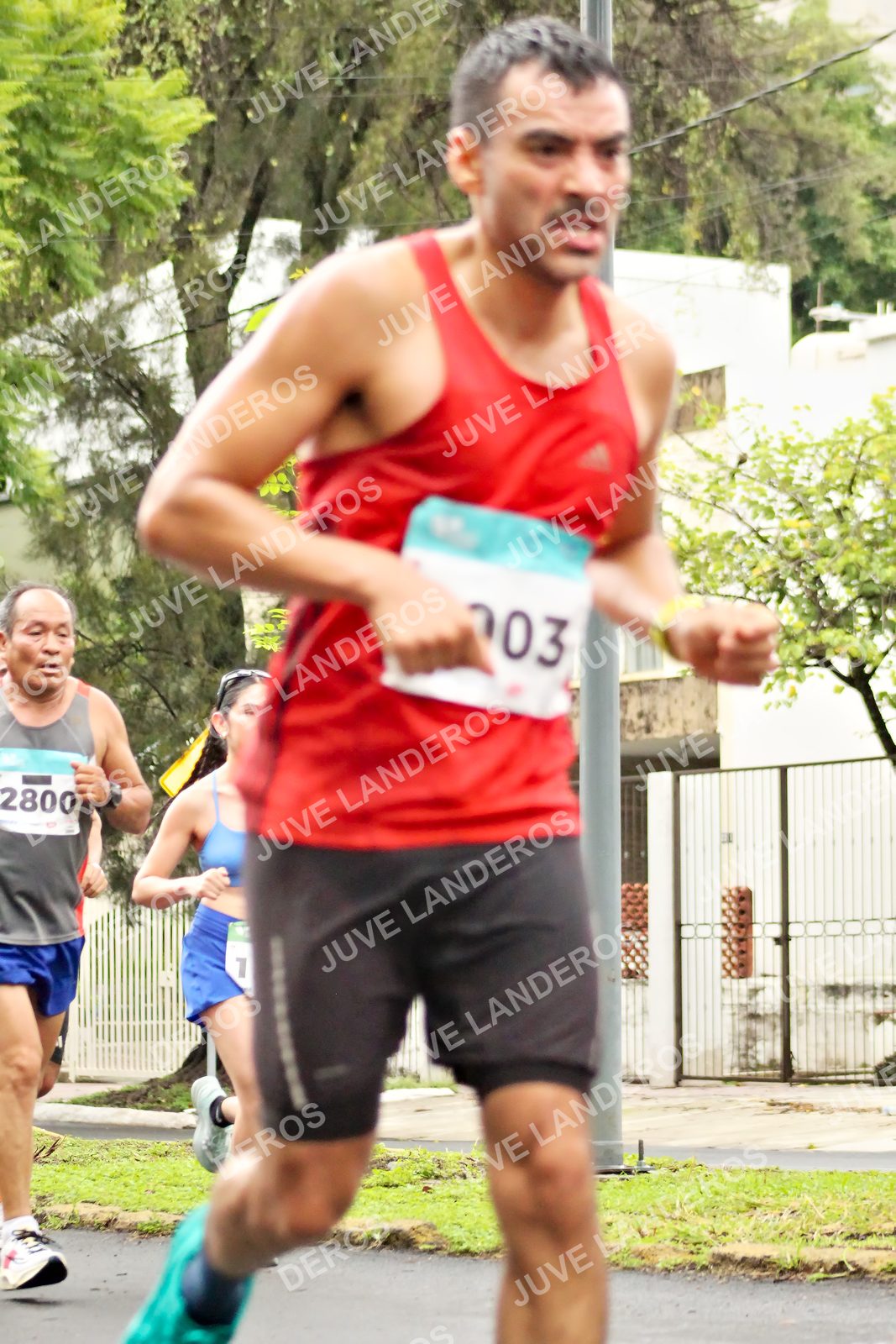 Foto del MEDIO MARATÓN ATLAS en Av. Patria, frente al Parque El Polvorín, Zapopan a las 08:23 · dorsal 2800, 33, 1