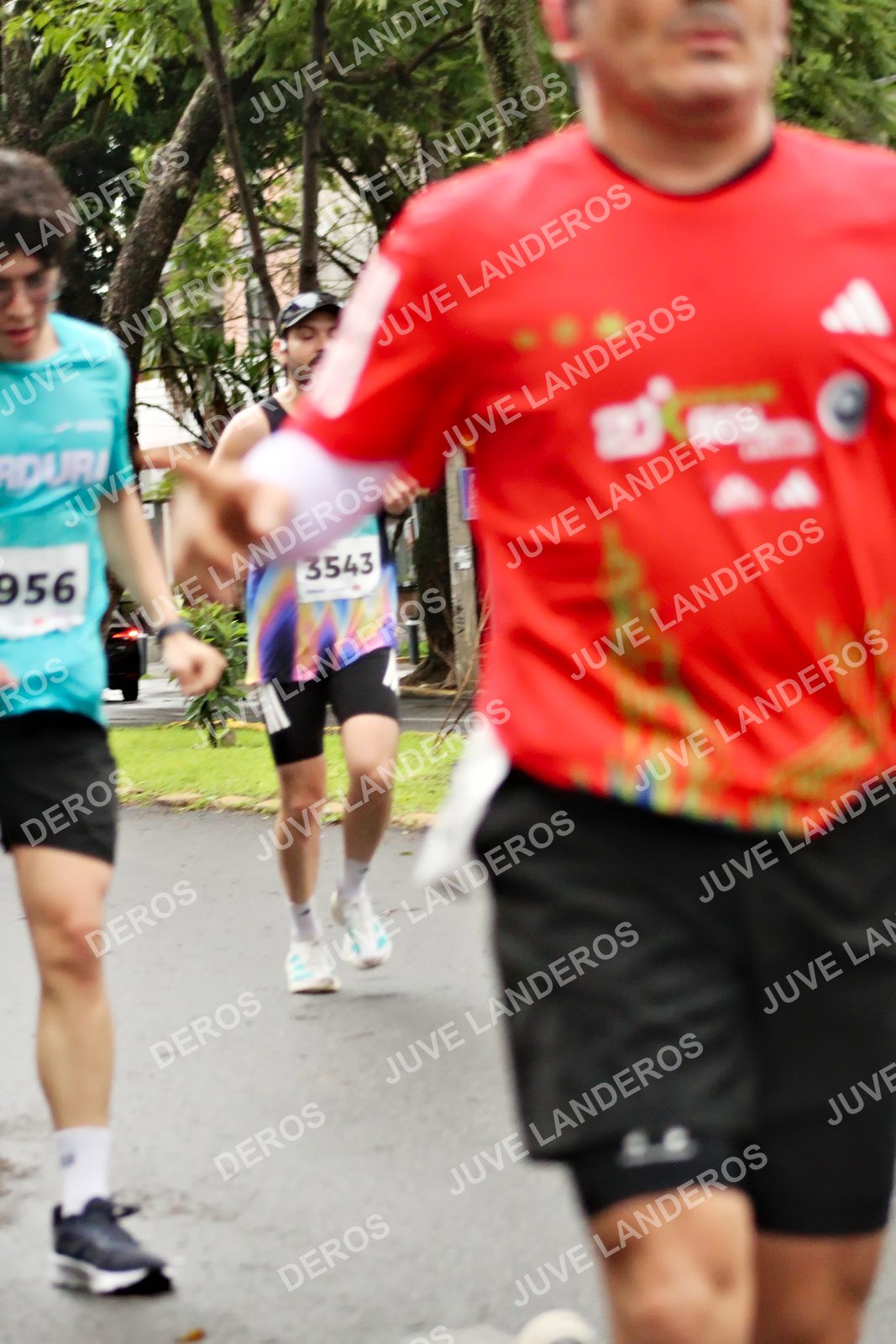 Foto del MEDIO MARATÓN ATLAS en Av. Patria, frente al Parque El Polvorín, Zapopan a las 08:16 · dorsal 956, 3543