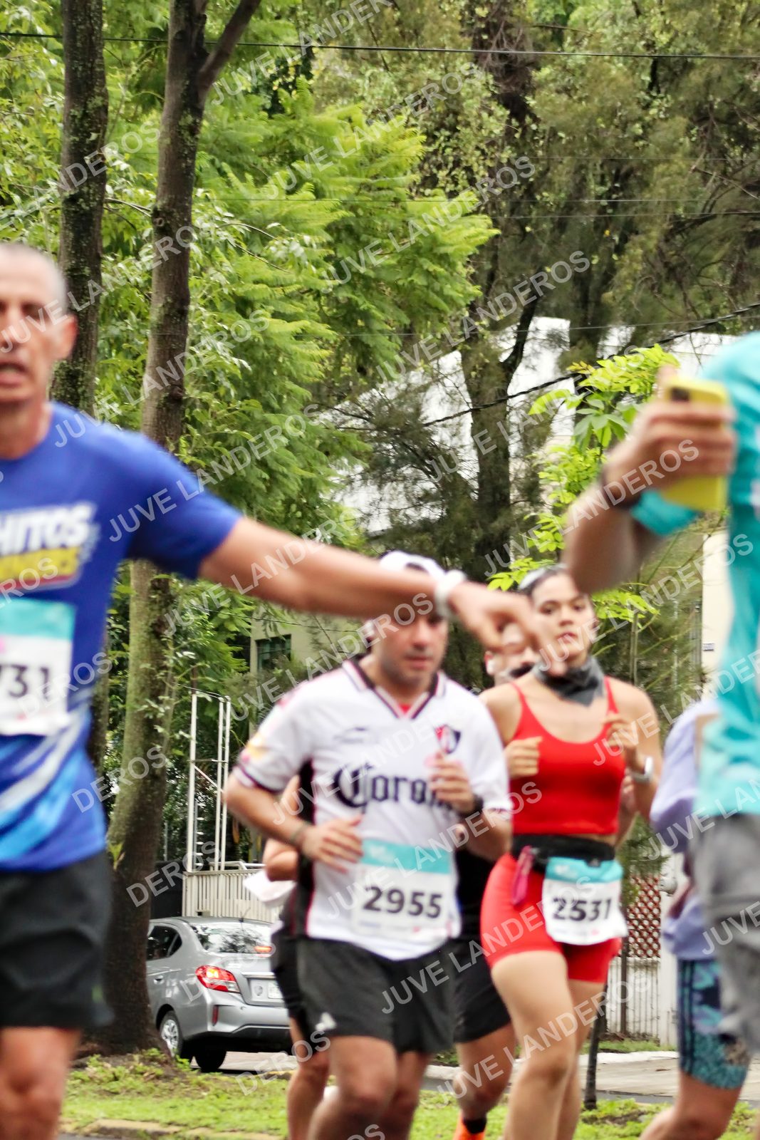 Foto del MEDIO MARATÓN ATLAS en Av. Patria, frente al Parque El Polvorín, Zapopan a las 08:25 · dorsal 2955, 2531, 31
