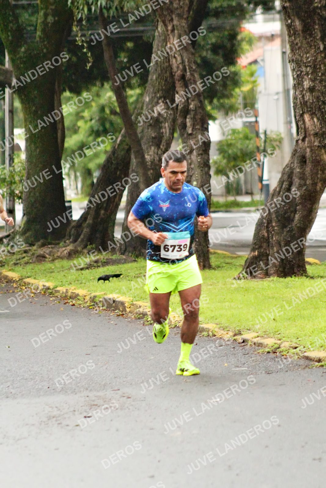 Foto del MEDIO MARATÓN ATLAS en Av. Patria, frente al Parque El Polvorín, Zapopan a las 08:04 · dorsal 6739