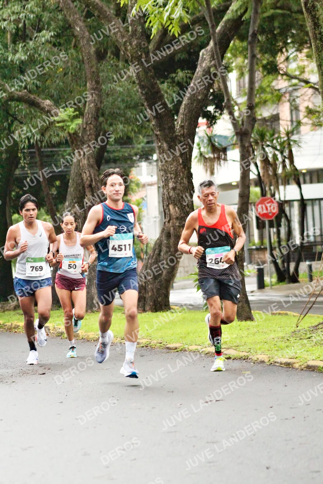Foto del MEDIO MARATÓN ATLAS en Av. Patria, frente al Parque El Polvorín, Zapopan a las 08:01 · dorsal 769, 50, 4511, 264