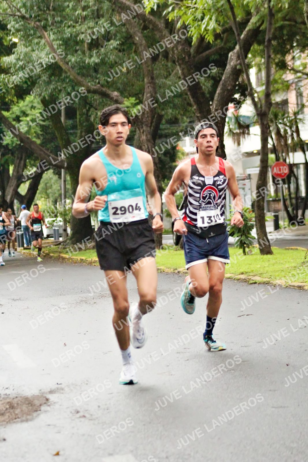 Foto del MEDIO MARATÓN ATLAS en Av. Patria, frente al Parque El Polvorín, Zapopan a las 08:01 · dorsal 2904, 1310