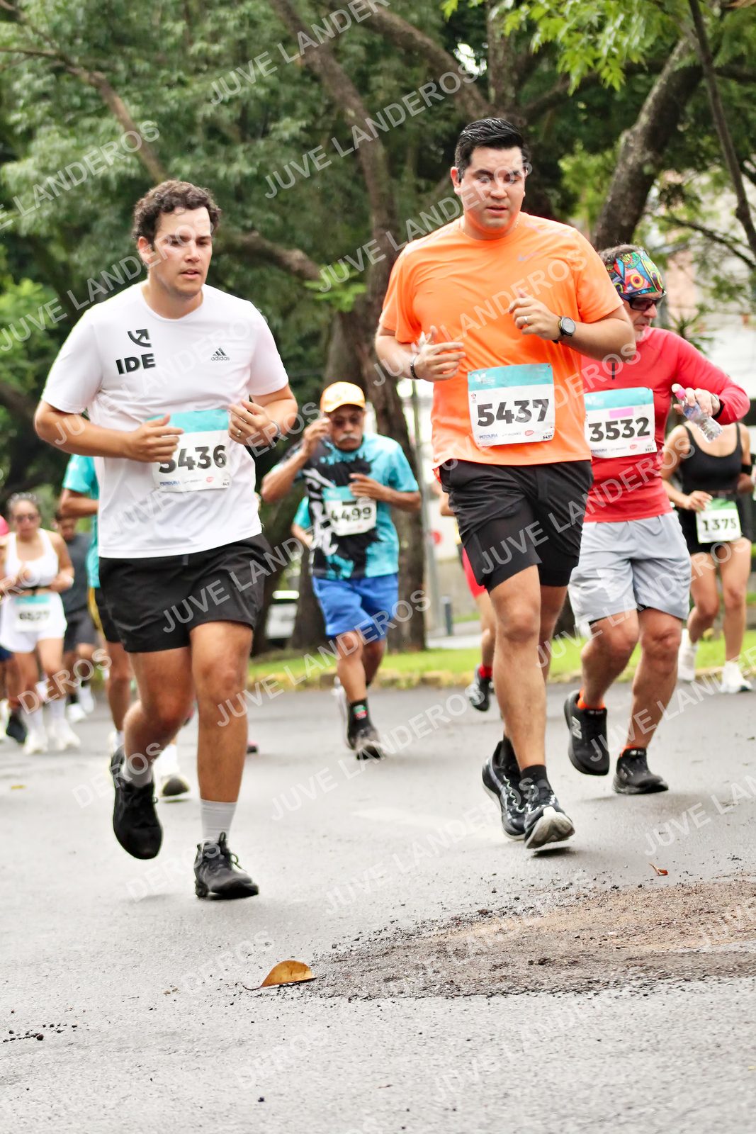 Foto del MEDIO MARATÓN ATLAS en Av. Patria, frente al Parque El Polvorín, Zapopan a las 08:35 · dorsal 5437, 3532, 1375, 4499