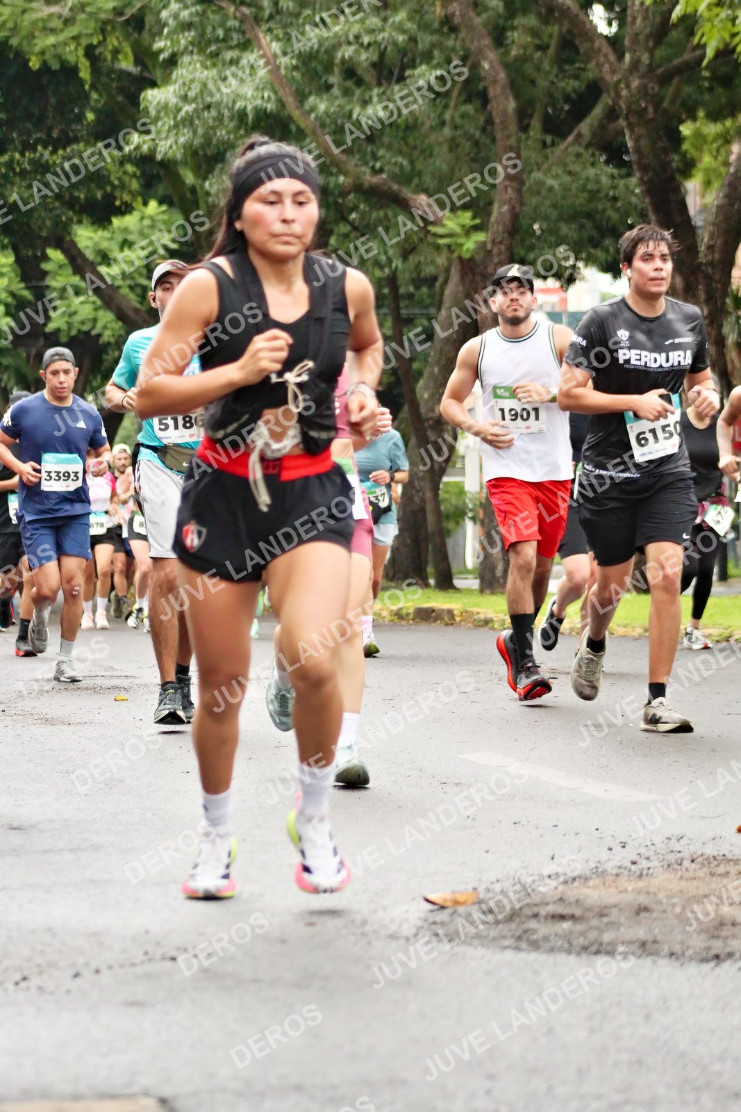 Foto del MEDIO MARATÓN ATLAS en Av. Patria, frente al Parque El Polvorín, Zapopan a las 08:27 · dorsal 1901, 3393, 6150, 37