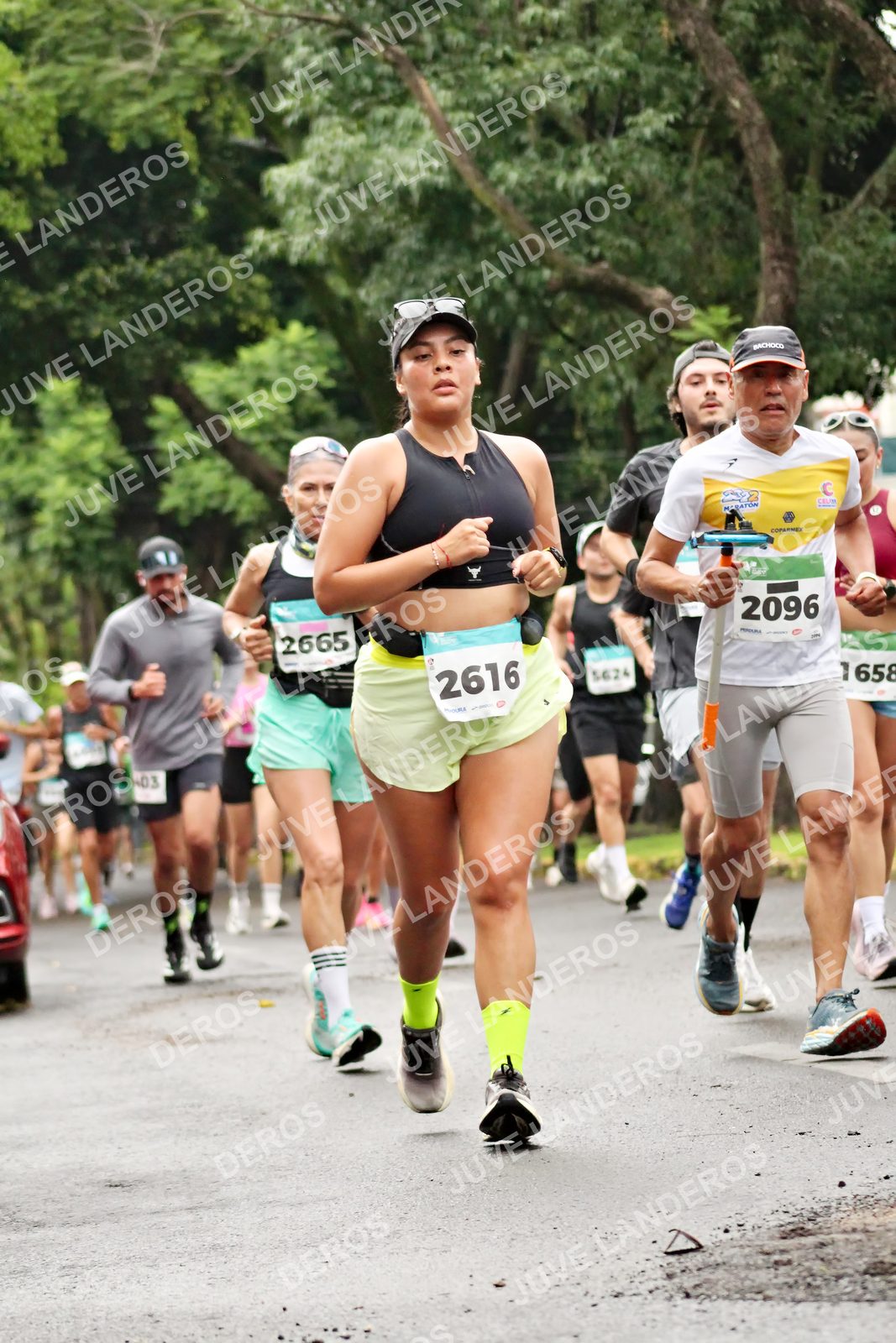 Foto del MEDIO MARATÓN ATLAS en Av. Patria, frente al Parque El Polvorín, Zapopan a las 08:22 · dorsal 2616, 2096, 2665, 1658