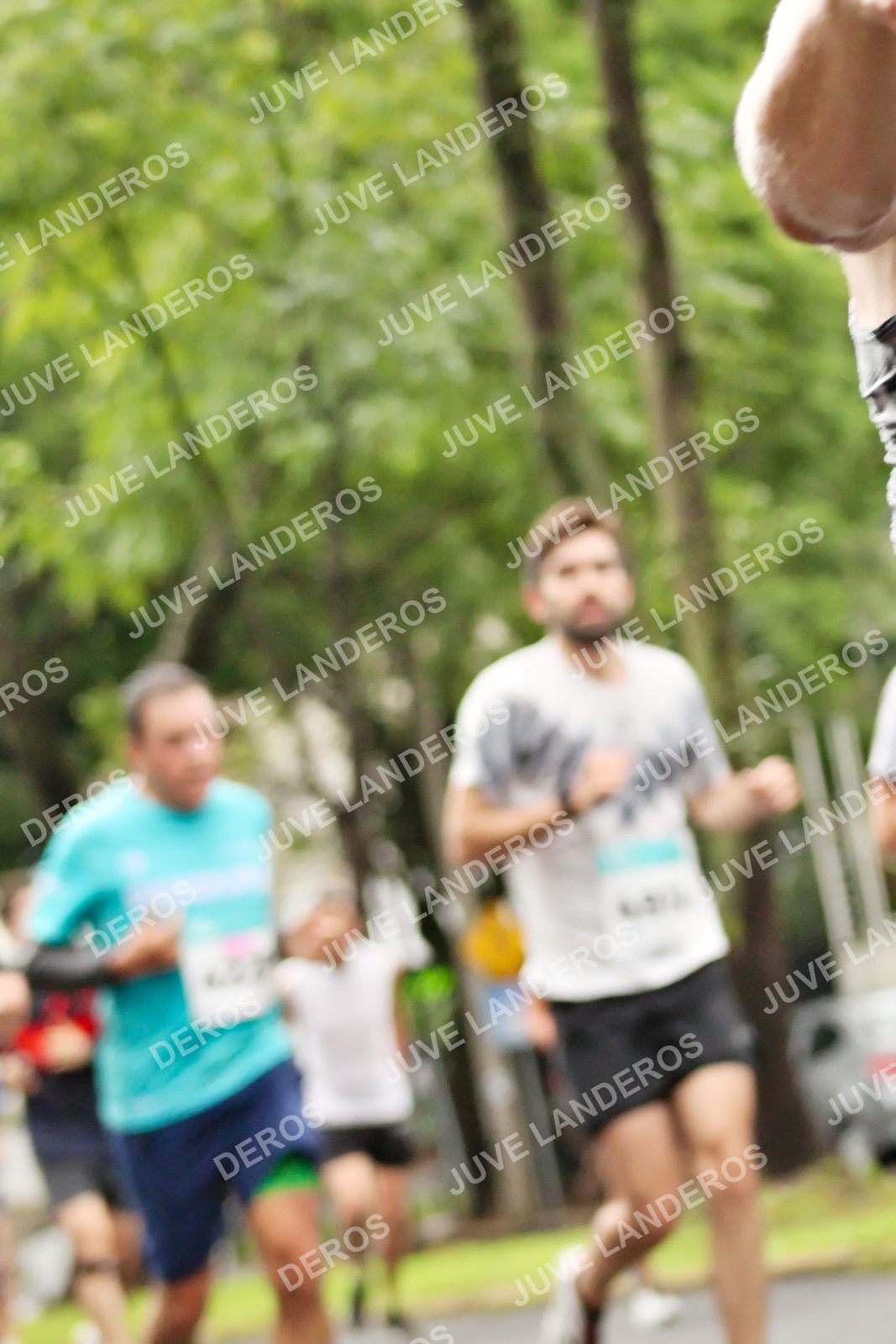 Foto del MEDIO MARATÓN ATLAS en Av. Patria, frente al Parque El Polvorín, Zapopan a las 08:31