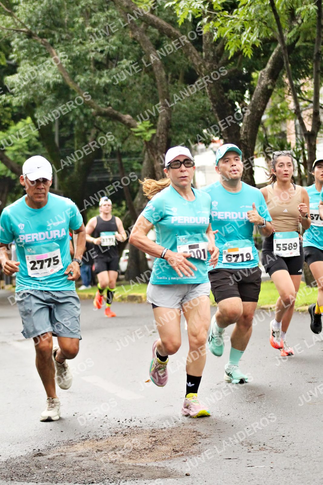 Foto del MEDIO MARATÓN ATLAS en Av. Patria, frente al Parque El Polvorín, Zapopan a las 08:16 · dorsal 5589, 2775, 6719