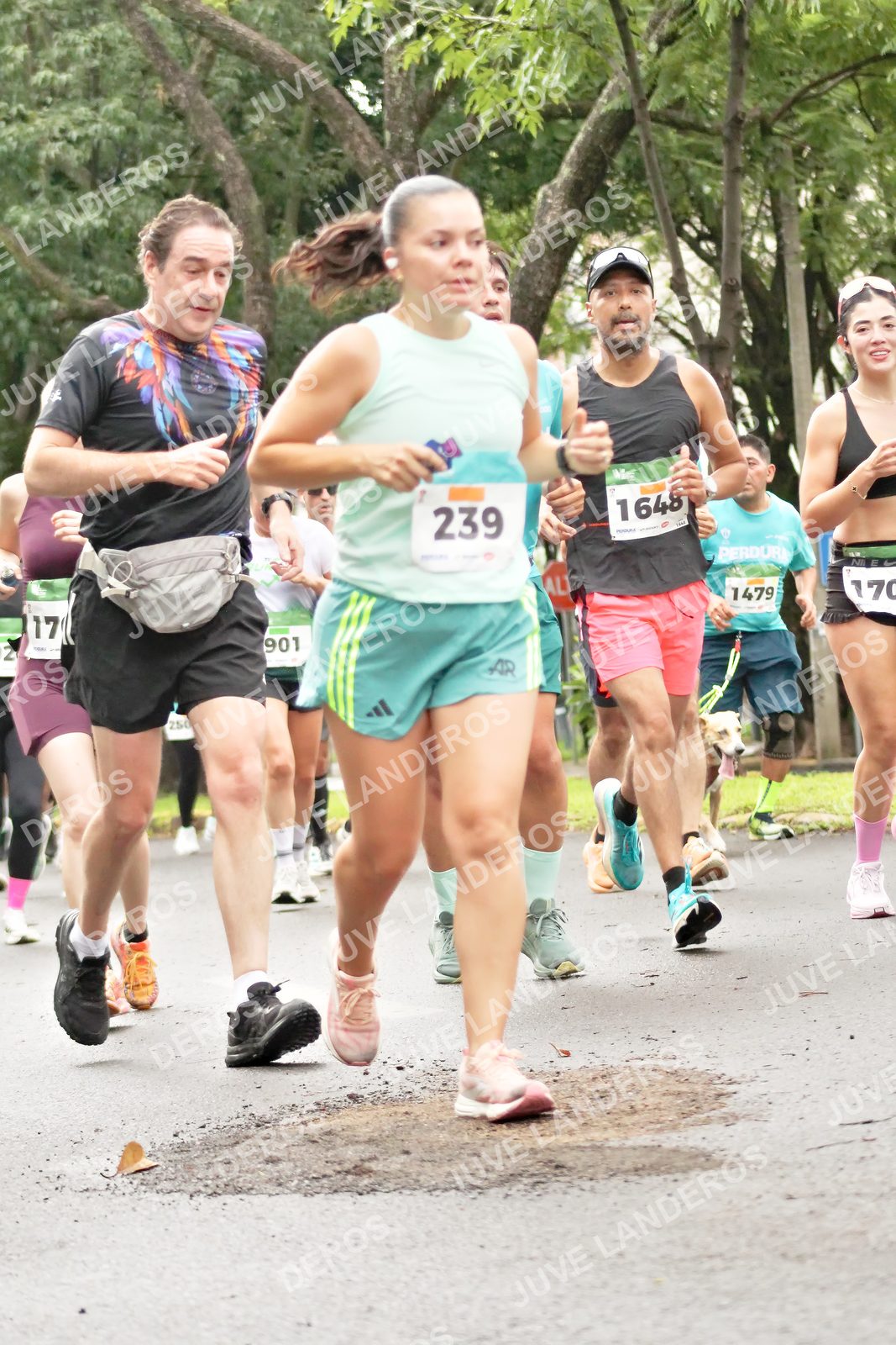 Foto del MEDIO MARATÓN ATLAS en Av. Patria, frente al Parque El Polvorín, Zapopan a las 08:34 · dorsal 239, 17, 1479, 901