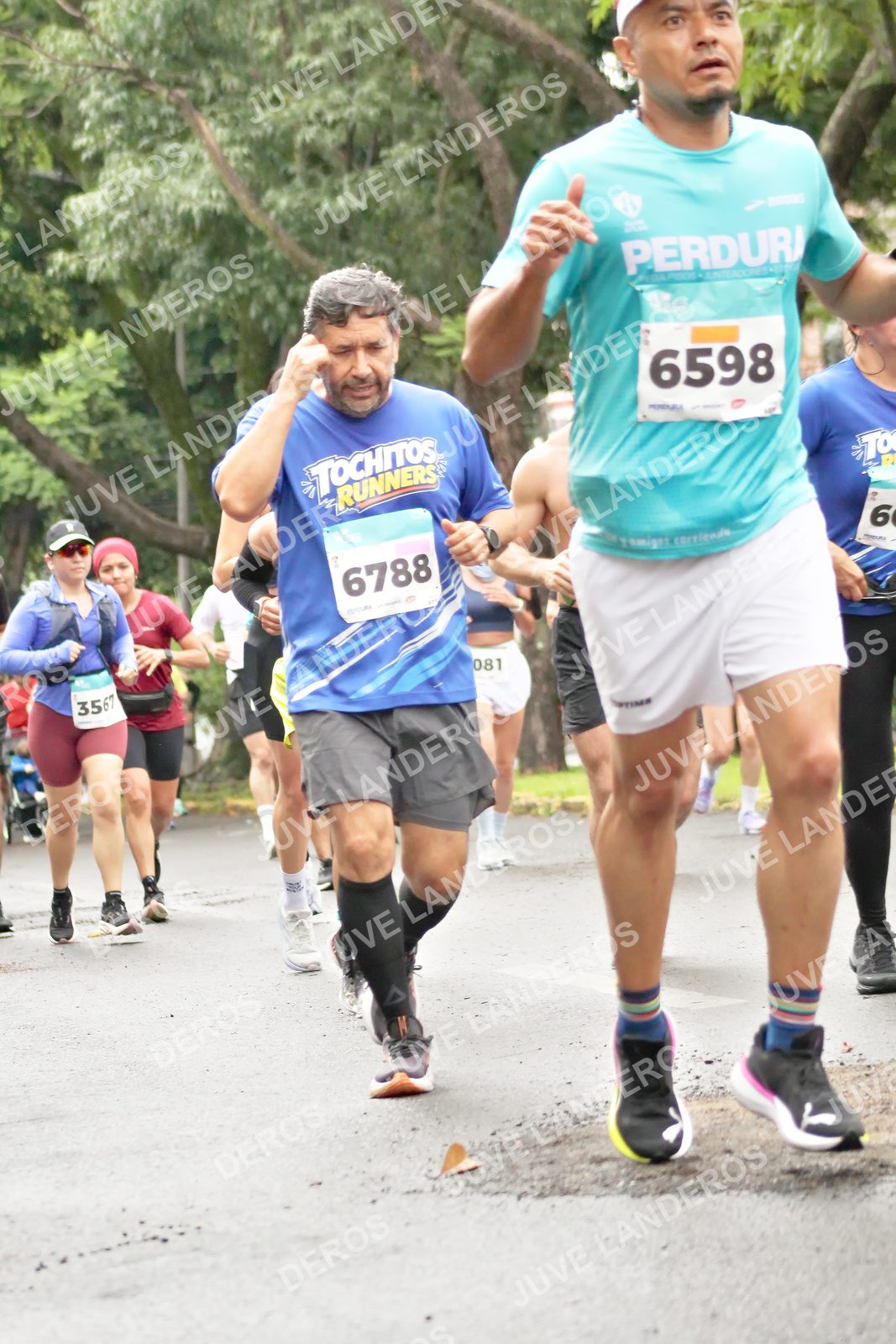 Foto del MEDIO MARATÓN ATLAS en Av. Patria, frente al Parque El Polvorín, Zapopan a las 08:34 · dorsal 6598, 6788, 81, 6