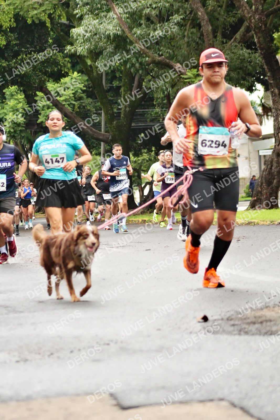 Foto del MEDIO MARATÓN ATLAS en Av. Patria, frente al Parque El Polvorín, Zapopan a las 08:25 · dorsal 6294, 4147, 739, 2