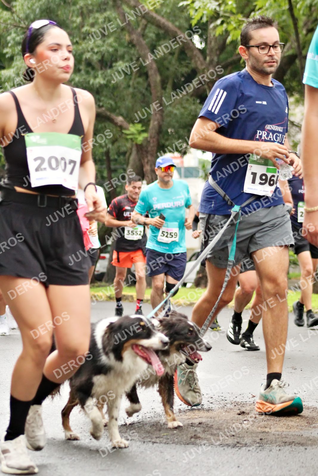 Foto del MEDIO MARATÓN ATLAS en Av. Patria, frente al Parque El Polvorín, Zapopan a las 08:31 · dorsal 2007, 5259, 3552, 2