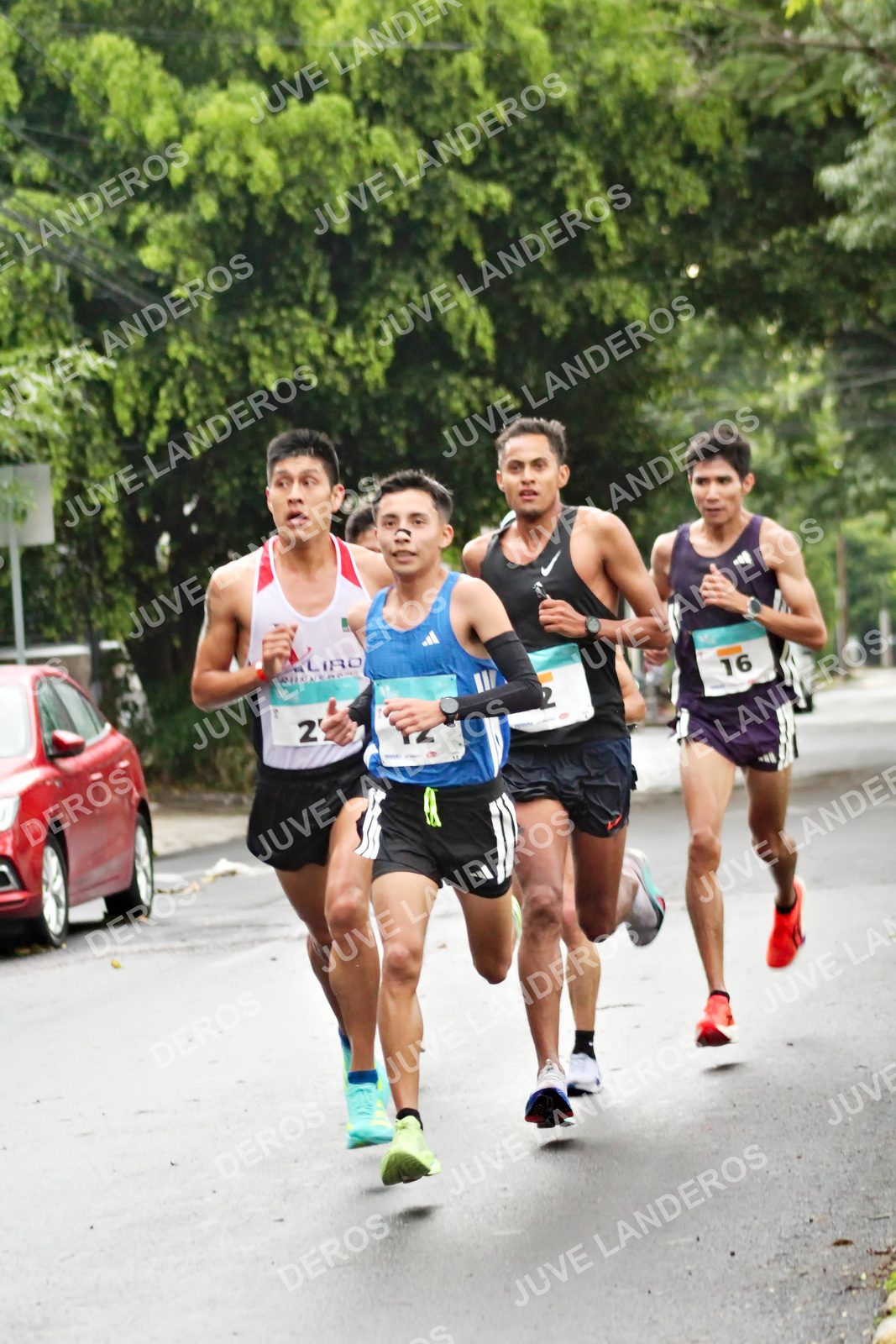 Foto del MEDIO MARATÓN ATLAS en Av. Patria, frente al Parque El Polvorín, Zapopan a las 07:51 · dorsal 16, 2
