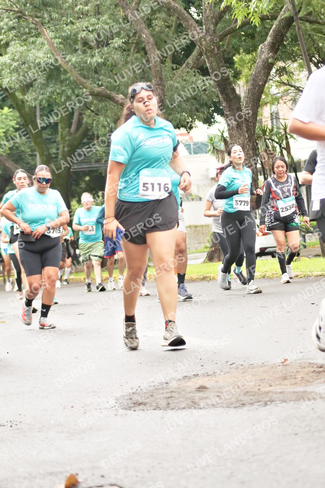 Foto del MEDIO MARATÓN ATLAS en Av. Patria, frente al Parque El Polvorín, Zapopan a las 08:44 · dorsal 5116, 3779, 2530, 5705