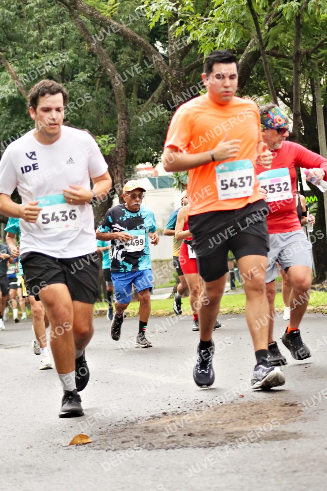 Foto del MEDIO MARATÓN ATLAS en Av. Patria, frente al Parque El Polvorín, Zapopan a las 08:35 · dorsal 5436, 5437, 3532, 4499