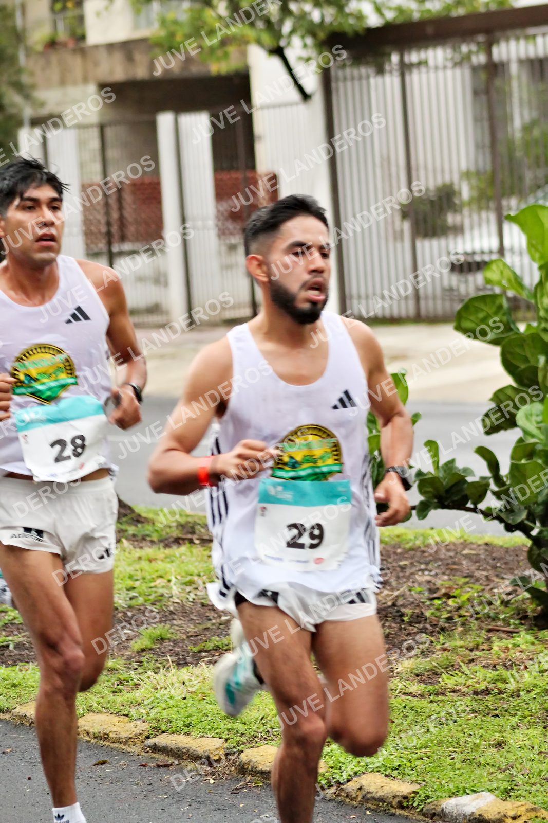Foto del MEDIO MARATÓN ATLAS en Av. Patria, frente al Parque El Polvorín, Zapopan a las 07:53 · dorsal 29, 28
