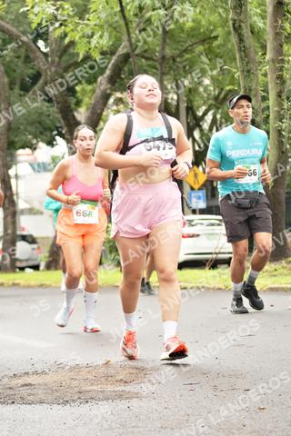 Foto del MEDIO MARATÓN ATLAS a las 08:42
