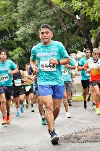 Foto del MEDIO MARATÓN ATLAS a las 08:28