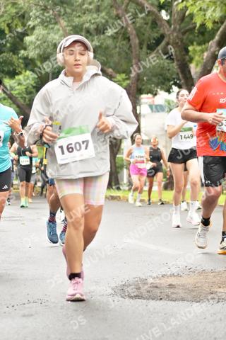 Foto del MEDIO MARATÓN ATLAS a las 08:43