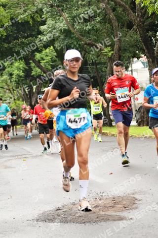 Foto del MEDIO MARATÓN ATLAS a las 08:16