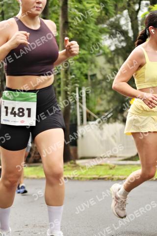 Foto del MEDIO MARATÓN ATLAS a las 08:33