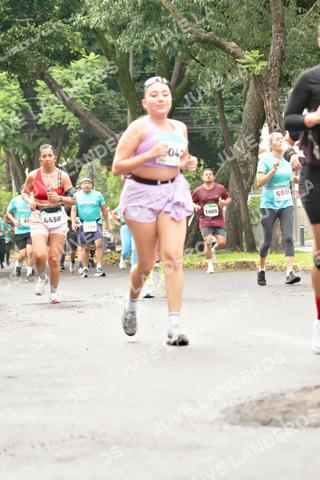 Foto del MEDIO MARATÓN ATLAS a las 08:47