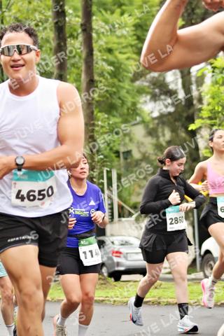 Foto del MEDIO MARATÓN ATLAS a las 08:32