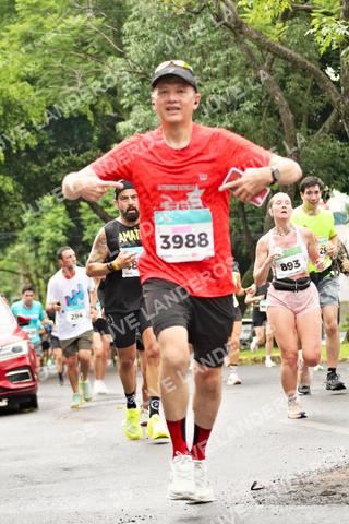 Foto del MEDIO MARATÓN ATLAS a las 08:23
